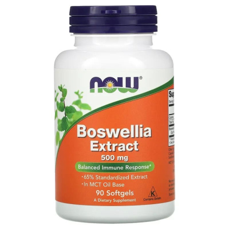 Now Boswellia Extract 500mg (90sgels)